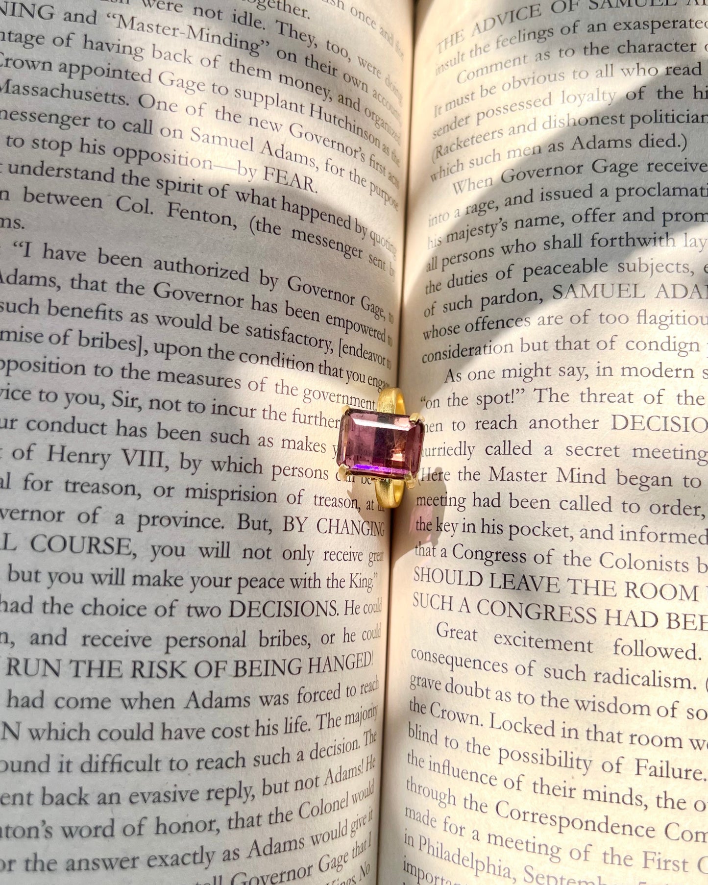 Lavish glossy stone Ring