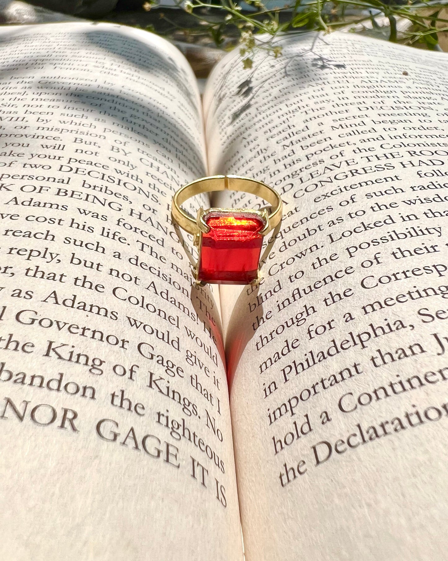 Lavish glossy stone Ring